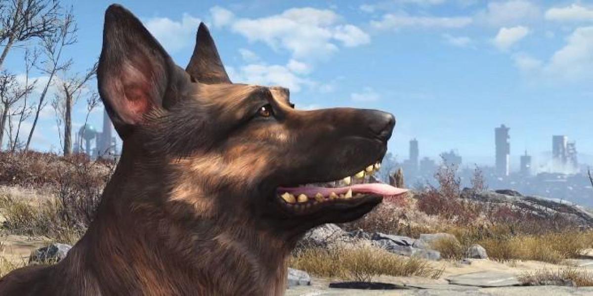 Xbox e Bethesda doam à Humane Society em homenagem ao Dogmeat de Fallout 4