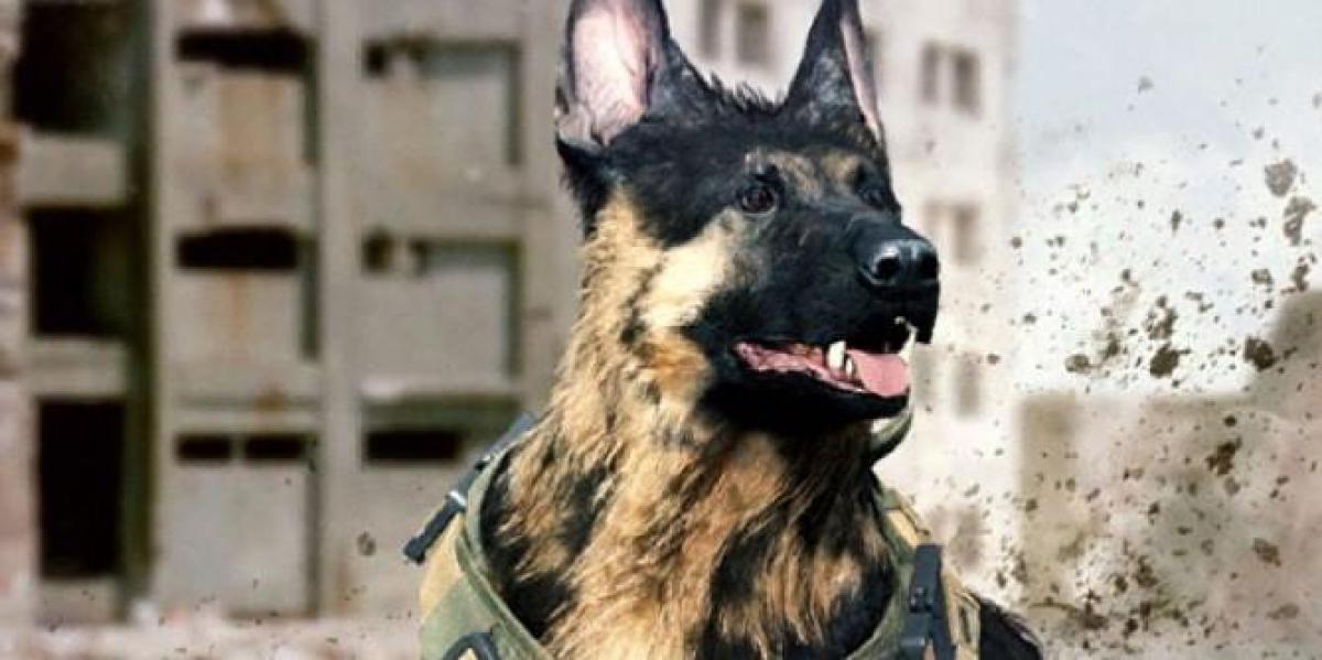 YouTuber ensina cachorro a jogar Call of Duty: Warzone