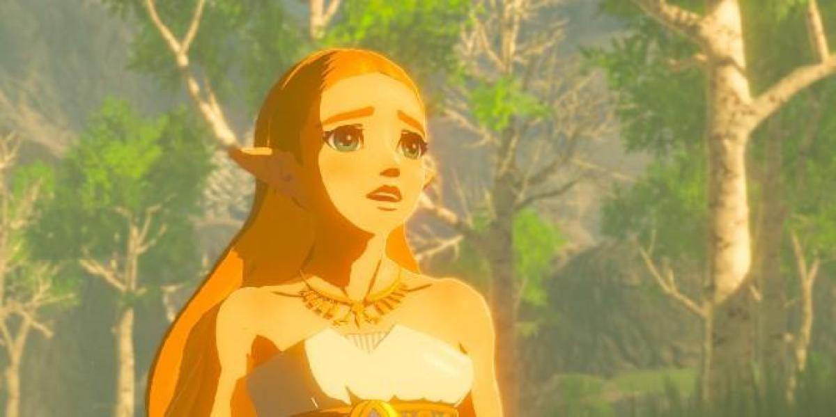 Zelda: Breath of the Wild 2 pode oferecer co-op de maneira inteligente