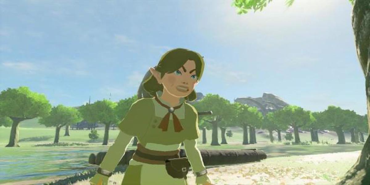 Zelda: Breath of the Wild encontra maneira de destruir o jardim de Flower Lady durante luta com Ganon