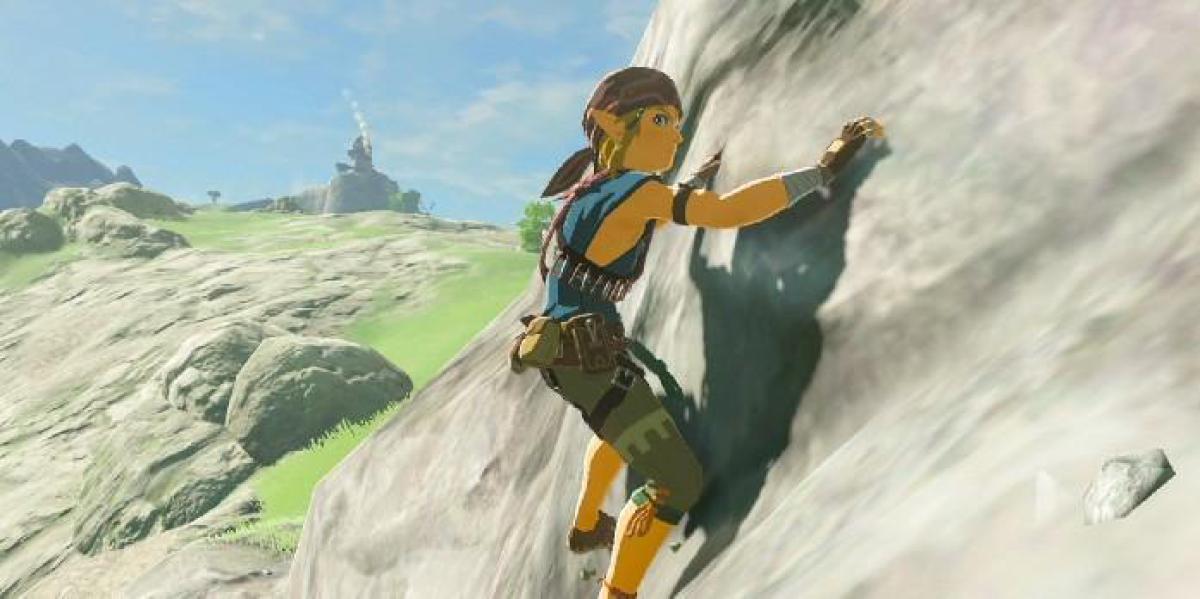 Zelda: Breath of the Wild Jogador encontra textura ausente