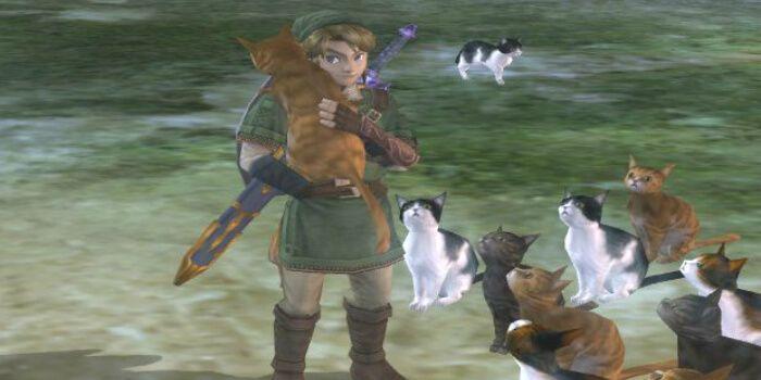 Zelda Twilight Princess Link com gatos