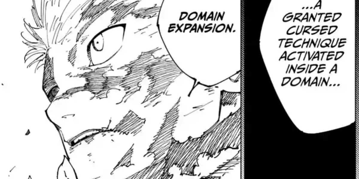 Yuji domain expansion jujutsu kaisen JJK 264