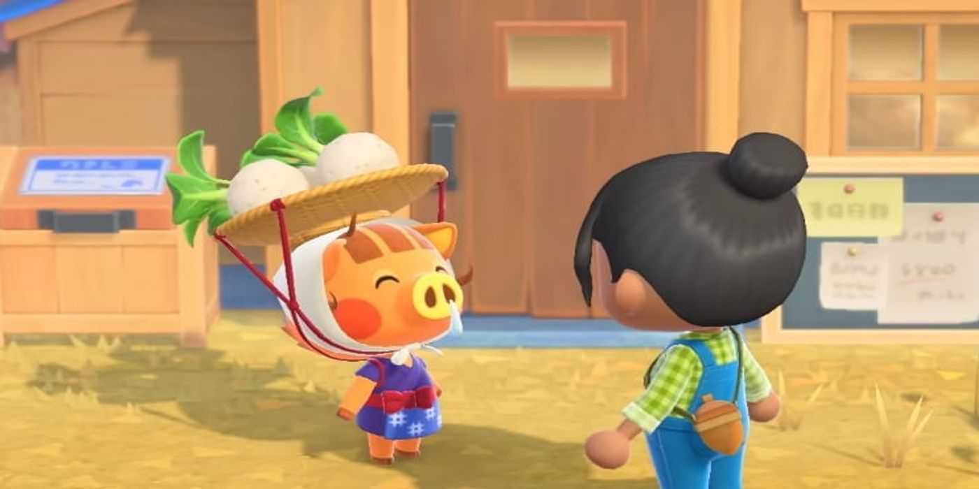 animal crossing new horizons visitors