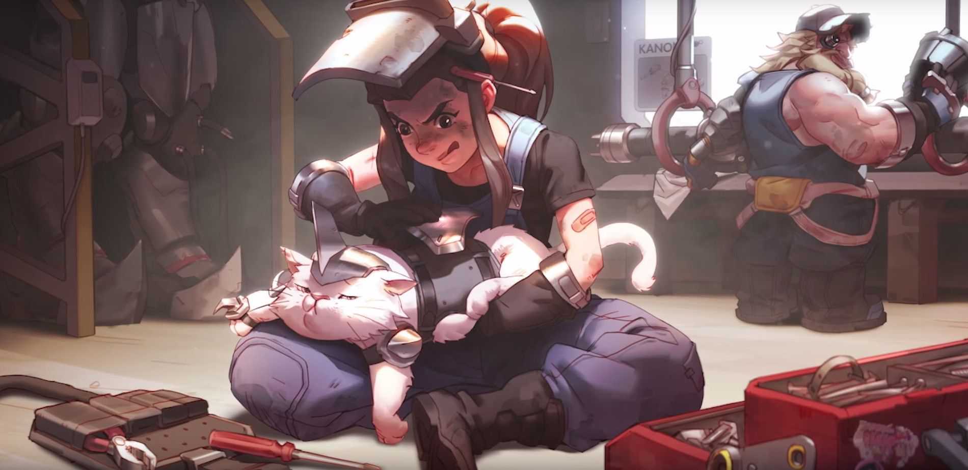 Overwatch Jetpack Cat Brigitte