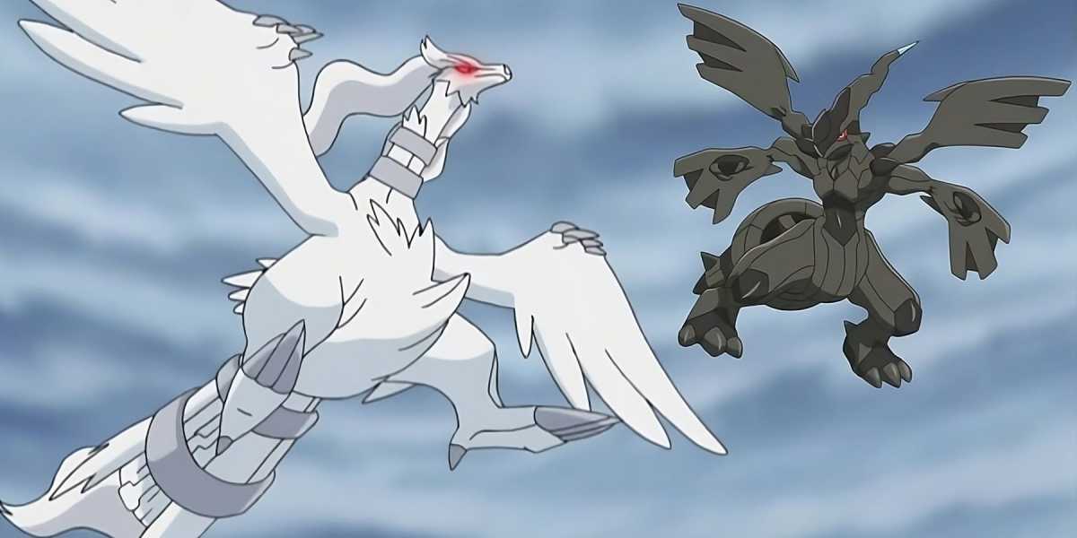 Artista cria versões fofas de bebês para Zekrom e Reshiram Pokemon