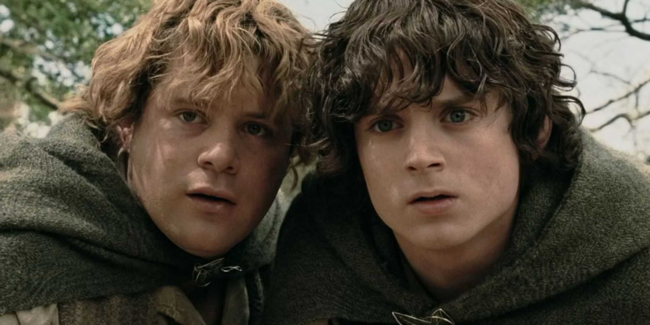 the-lord-of-the-rings-frodo-and-sam