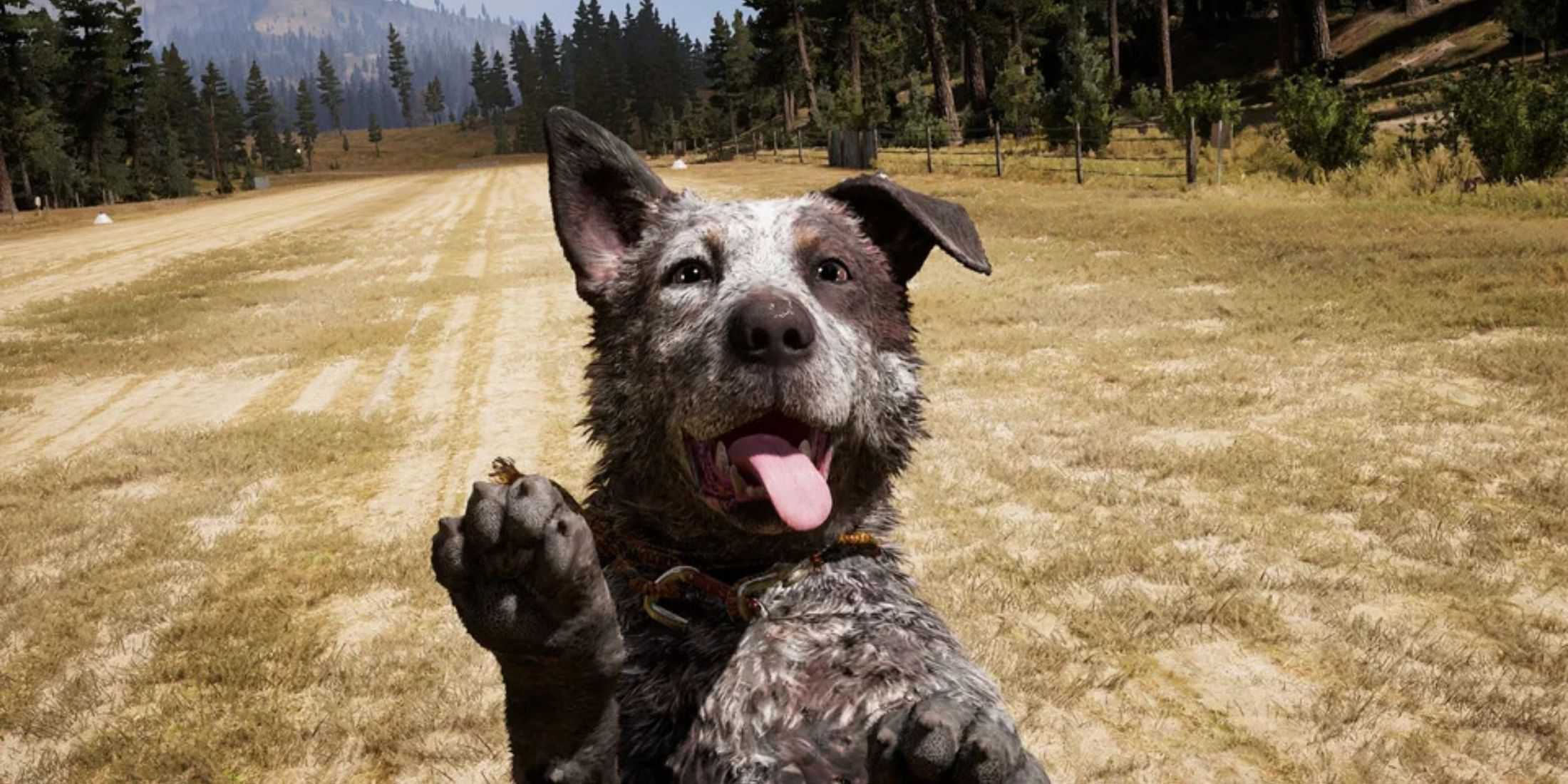 An image of Boomer the dog from Far Cry 5