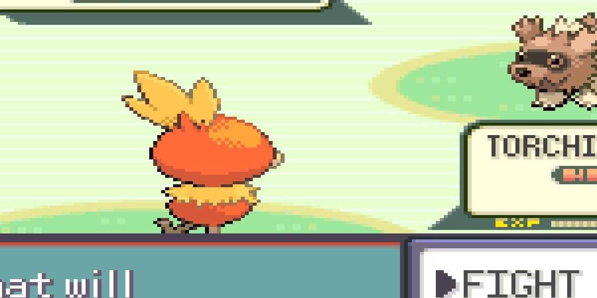 torchic in battle in pokemon emerald