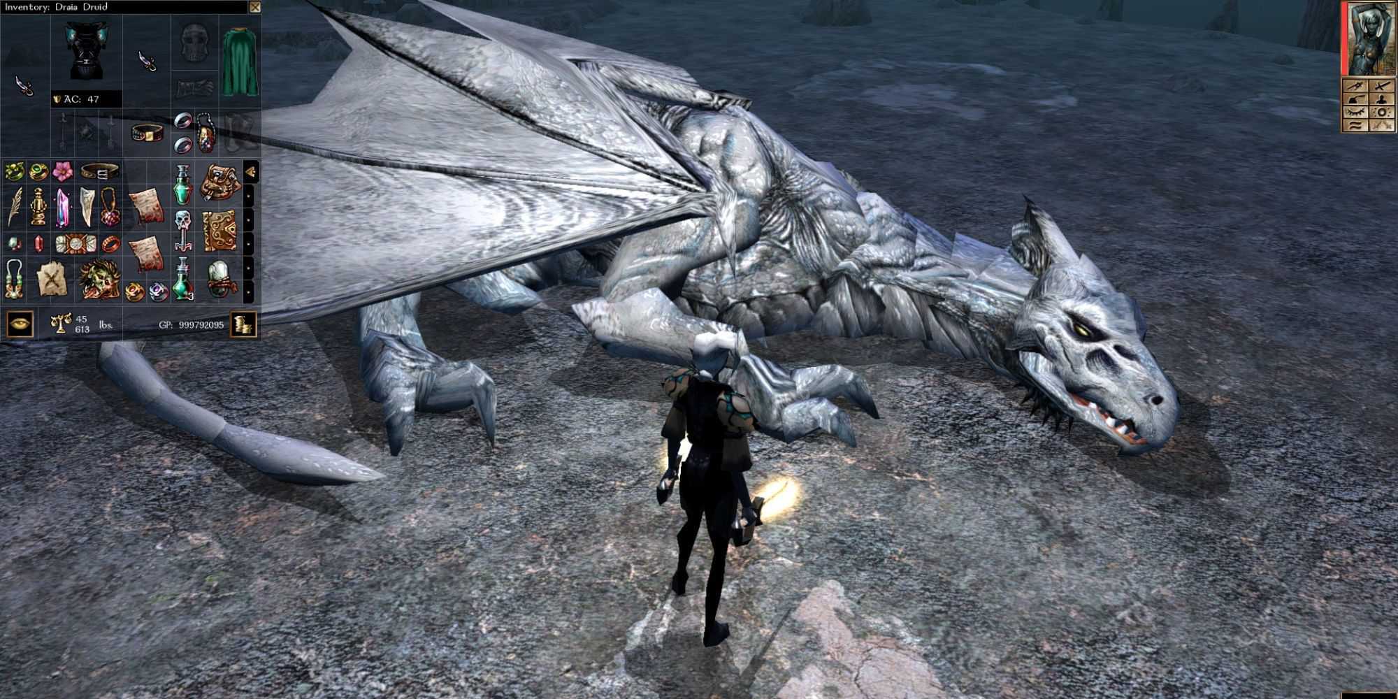 A player looking at a dead dragon in Neverwinter Nights 