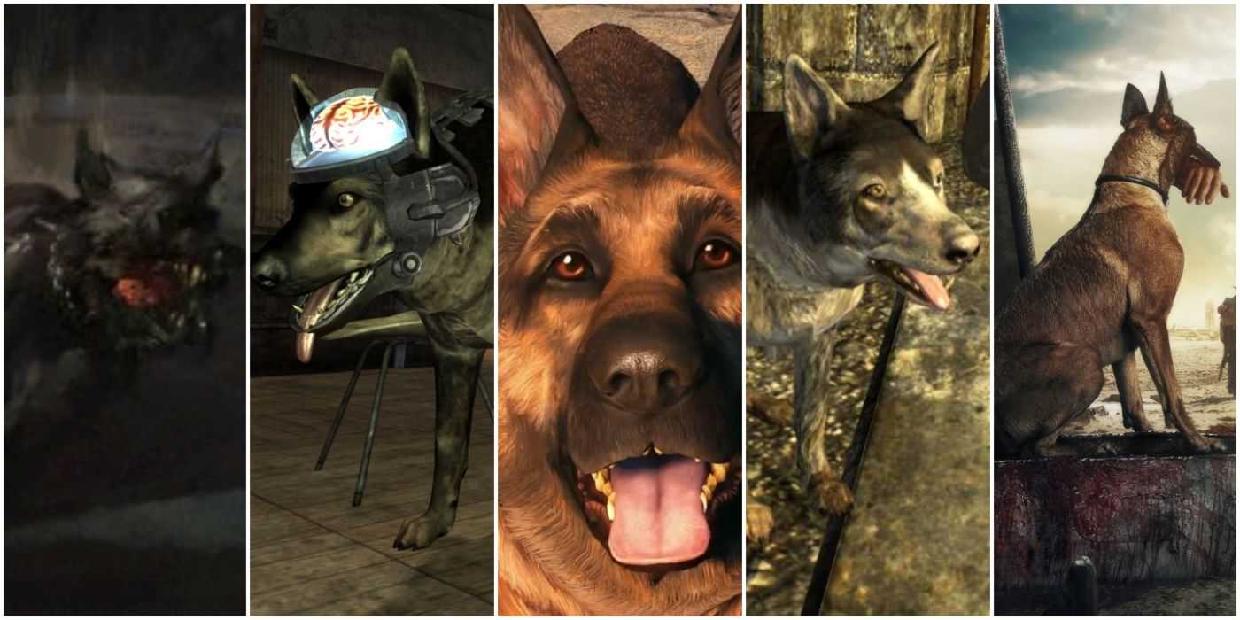 Uma colagem de imagens de Dogmeat e Rex da série de jogos Fallout