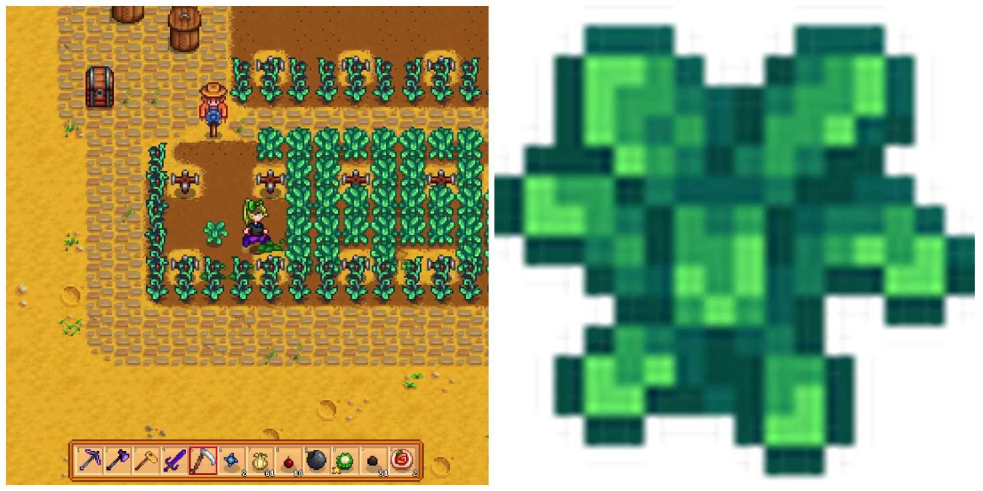 Picture showing Kale in Stardew Valley.