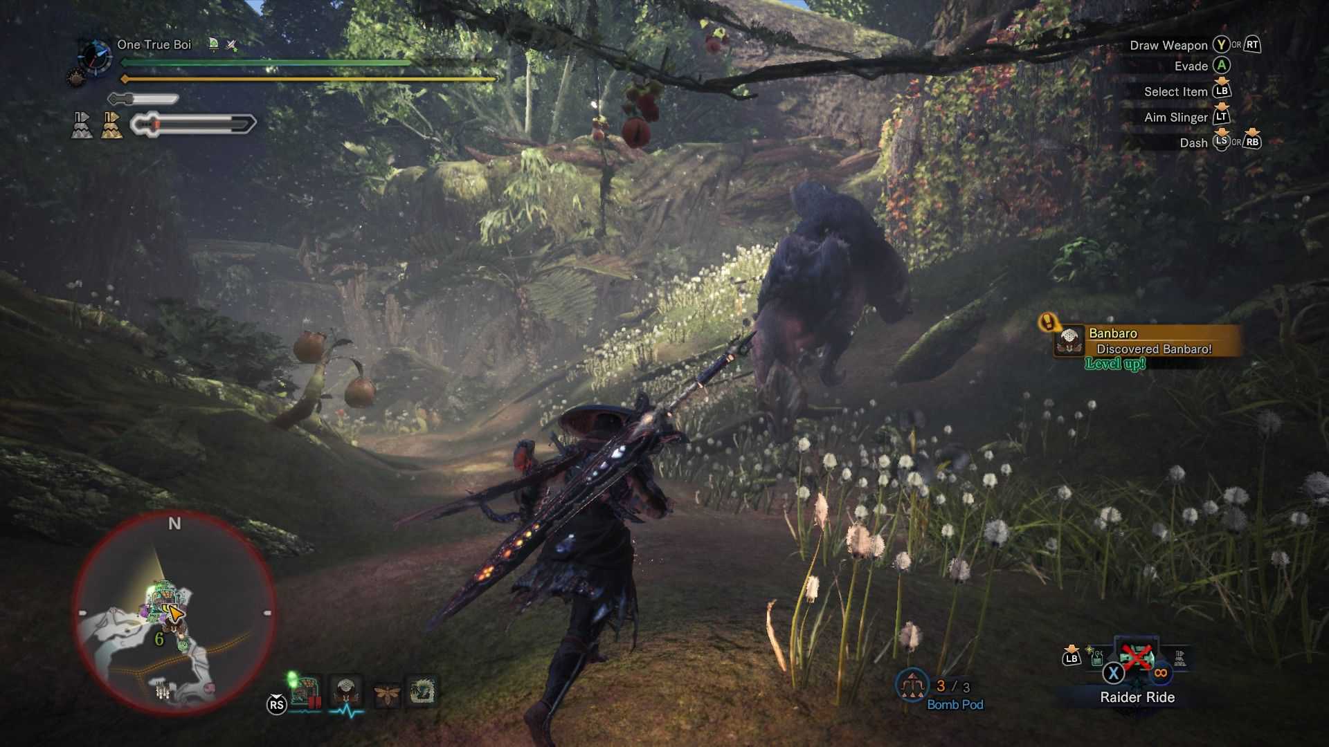 Caçando um Anjanath em Monster Hunter World