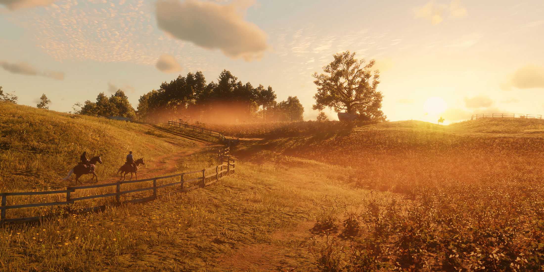 Sunny landscape in Red Dead Redemption 2