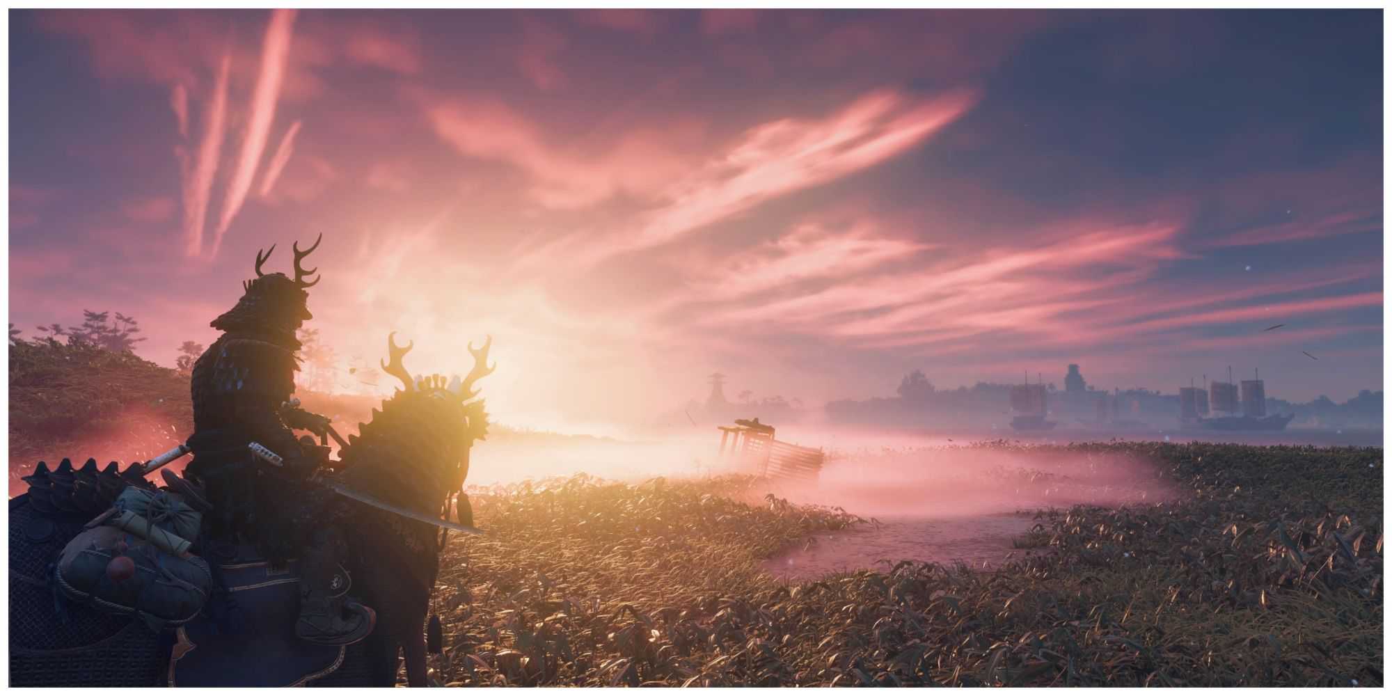 Ghost of tsushima main character looking at the vast open field of flowers during sunset