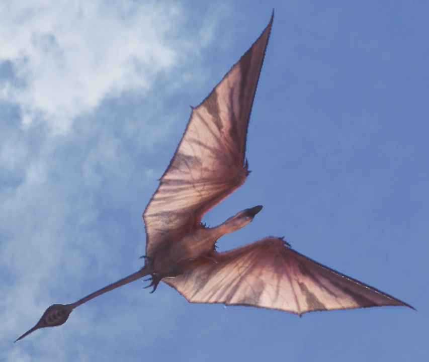 Caçador de Monstros Wingdrake