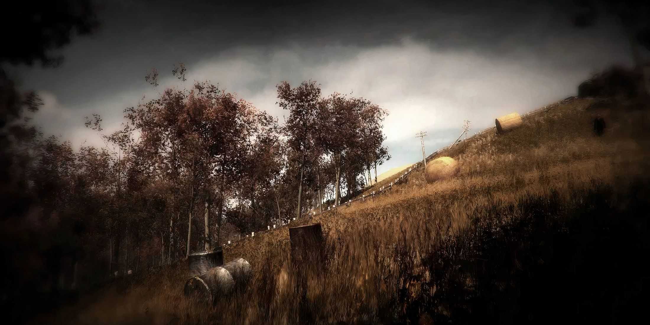 Searching rustic fields in ​​​​​​​Slender: The Arrival