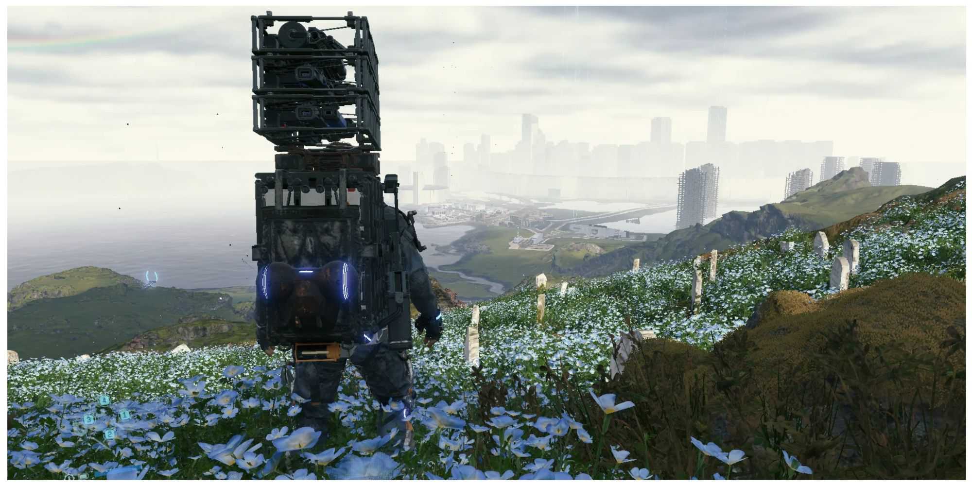 Death stranding main character walking on an open field of flowers