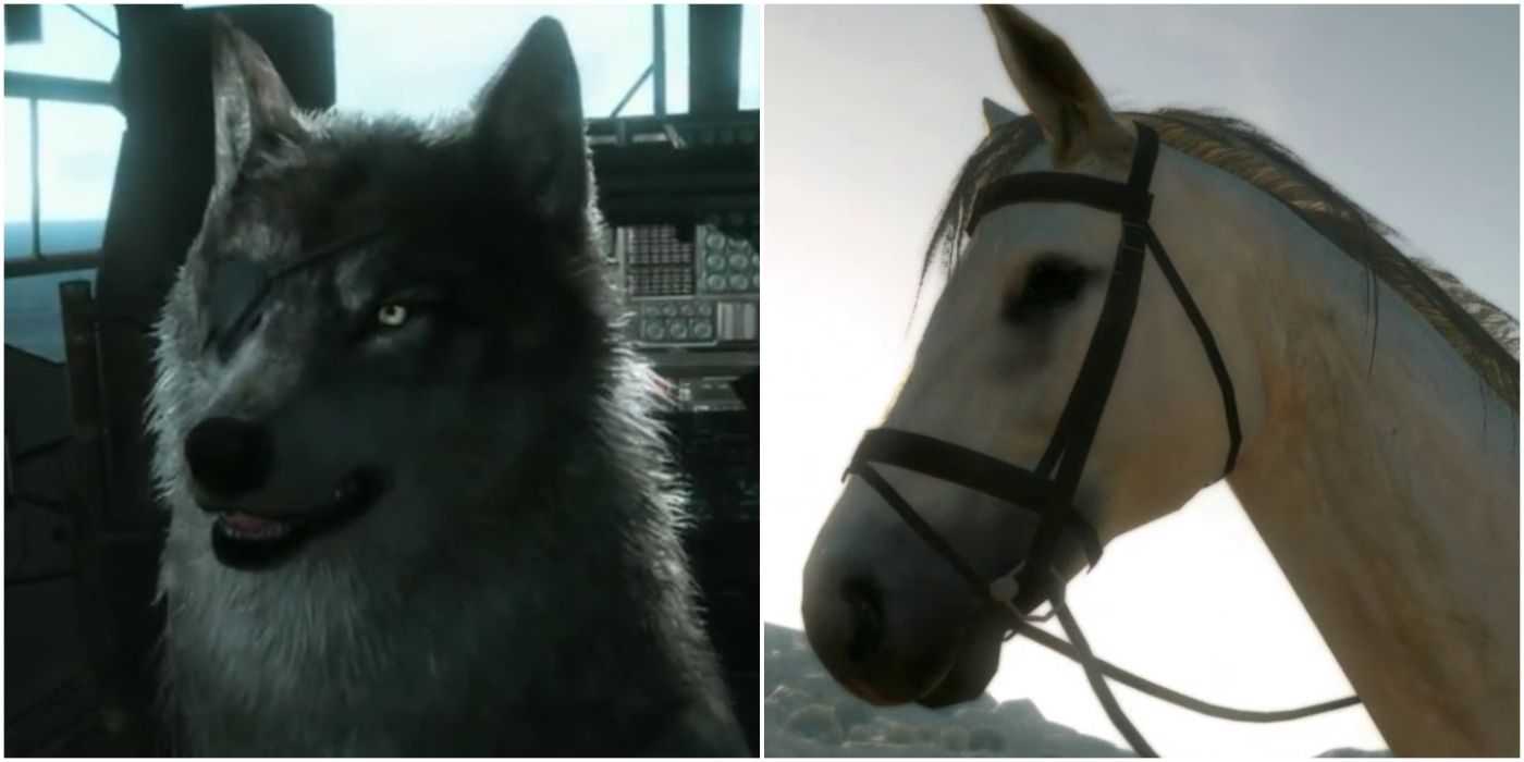 Uma imagem de D-Dog e D-Horse de Metal Gear Solid V