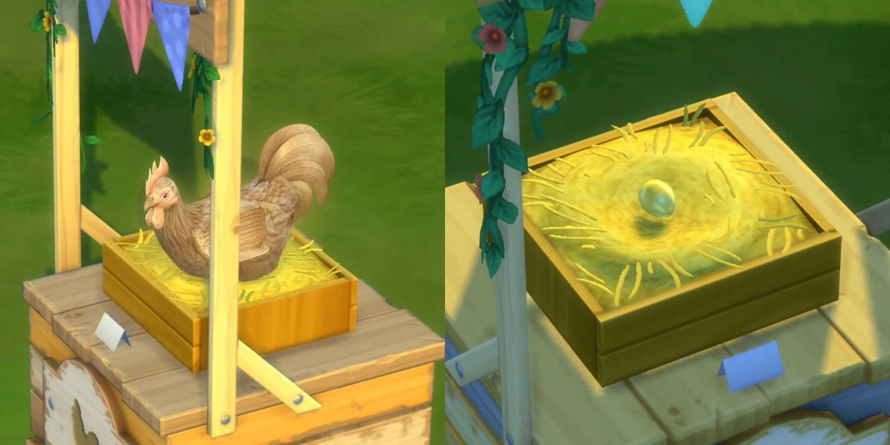 uma galinha e um ovo de ouro no sims 4