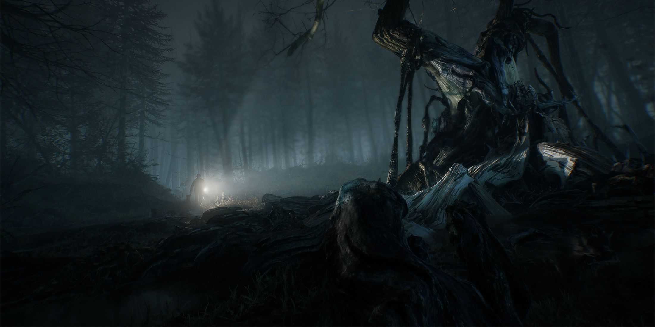 An unsettling image of Ellis shining a flashlight at a decrepit fallen tree