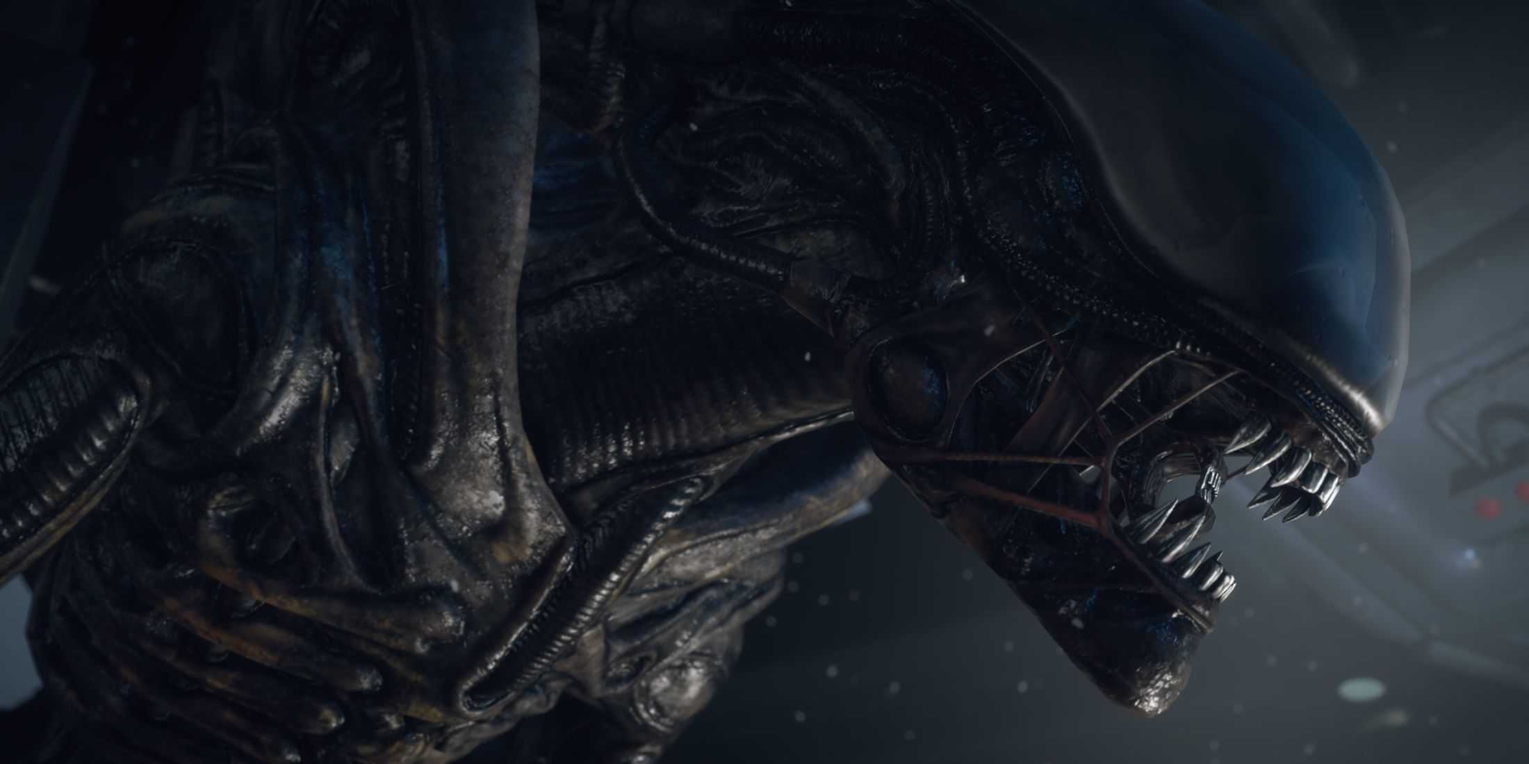 A close-up of a Xenomorph