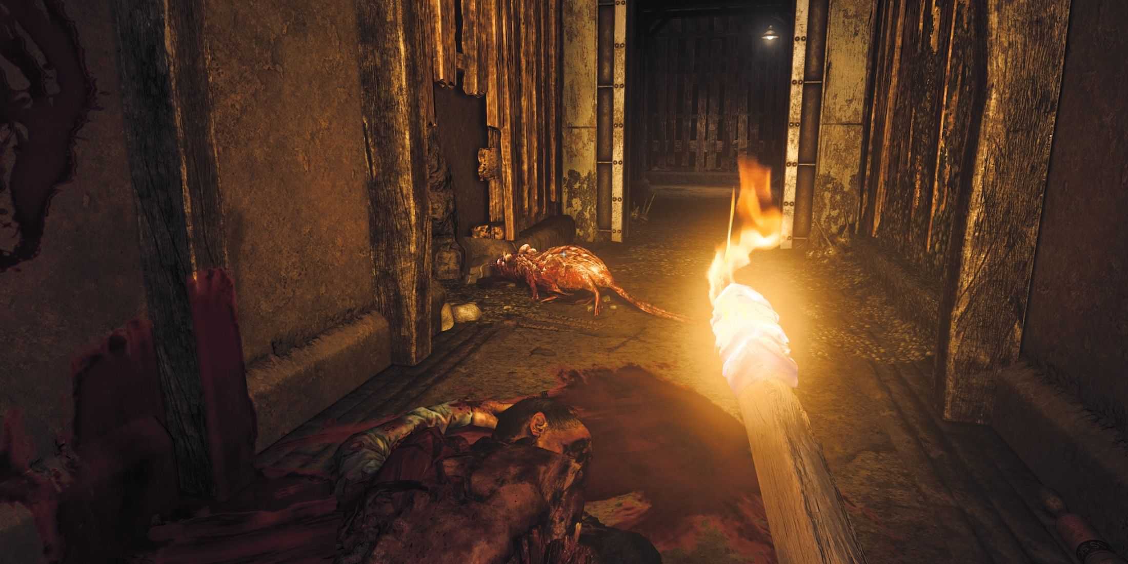 The player holding a torch and walking around dead bodies in a run-down bnunker