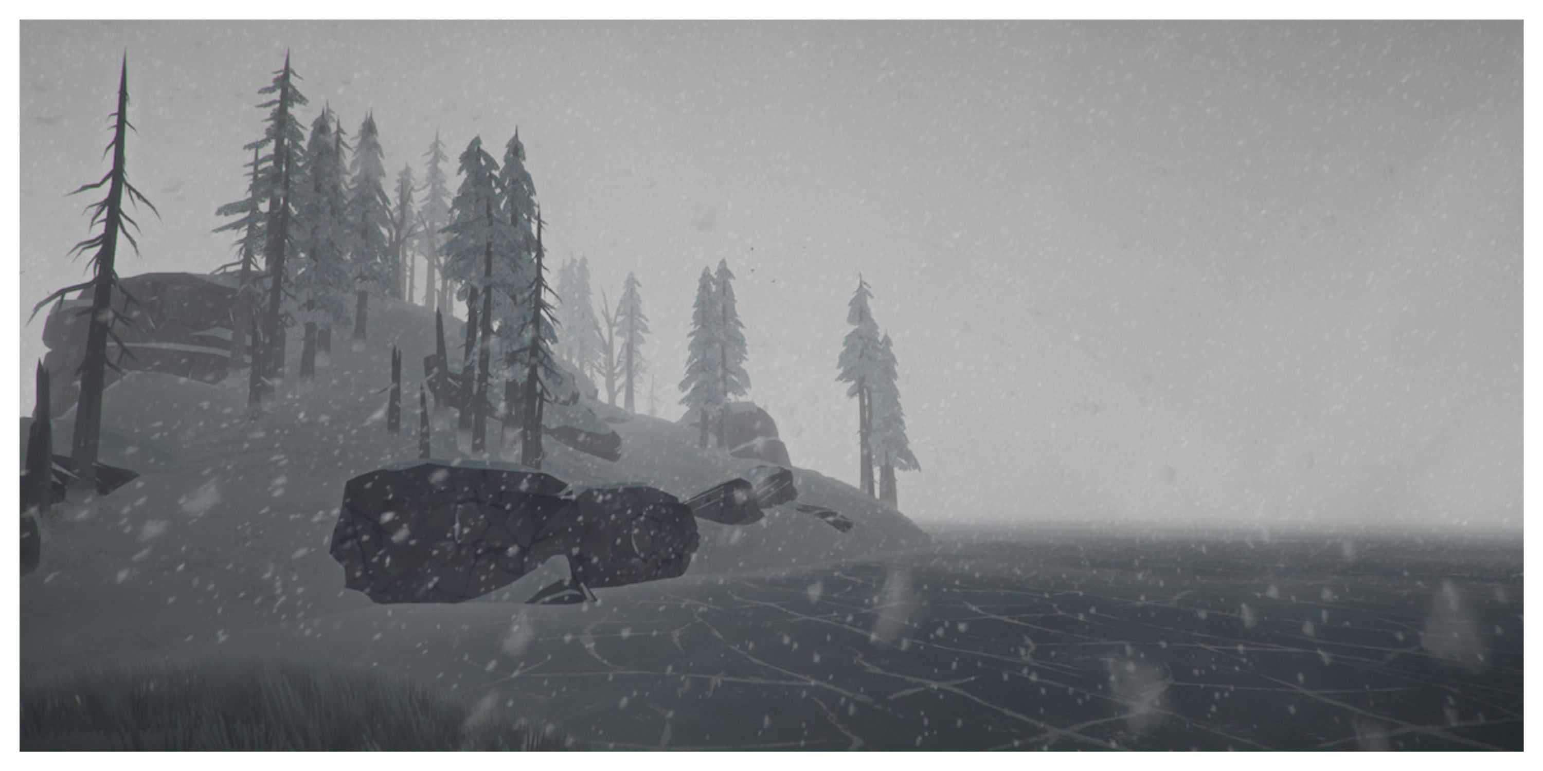 The Long Dark - Steam Screenshot (A Snowy Environment)