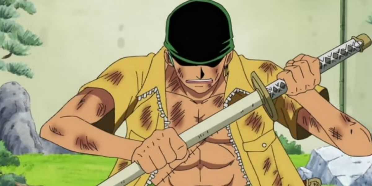 Zoro hurt