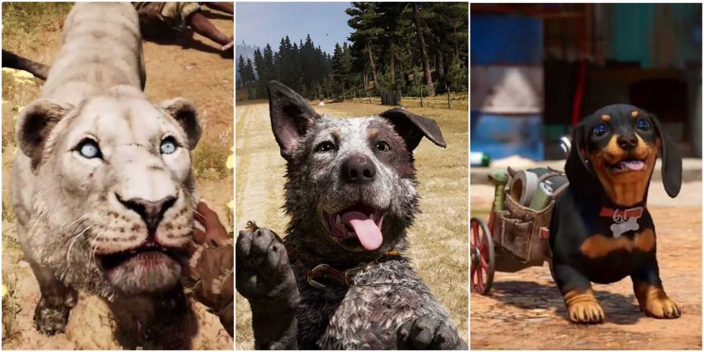 Uma colagem de um leão de Far Cry Primal, Boomer o cachorro de Far Cry 5 e Chorizo ​​o cachorro de Far Cry 6