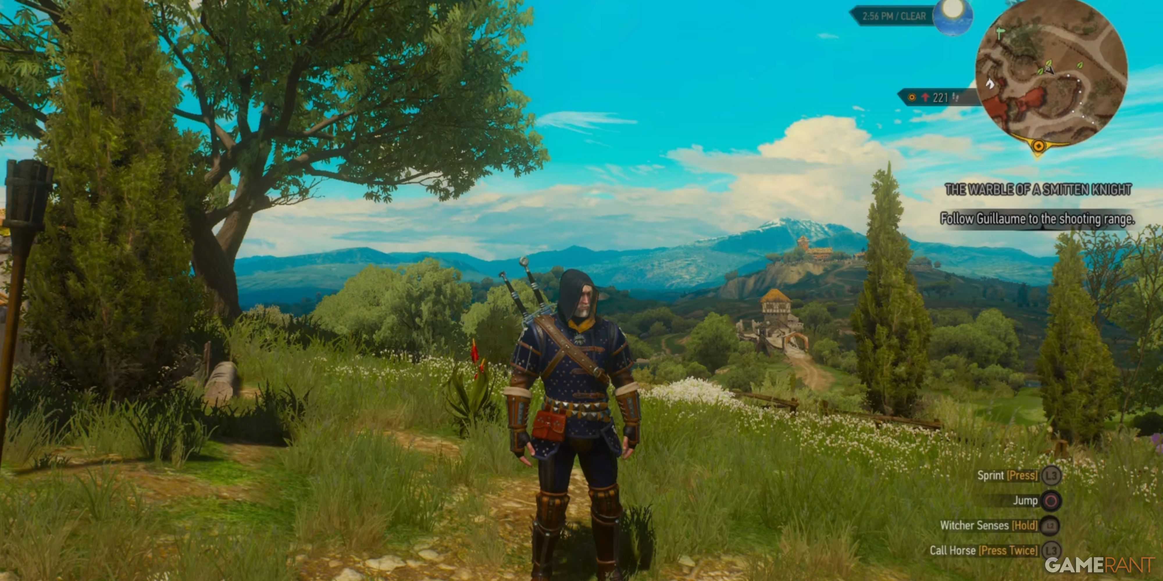 Geralt taking in a lovely view in The Witcher 3