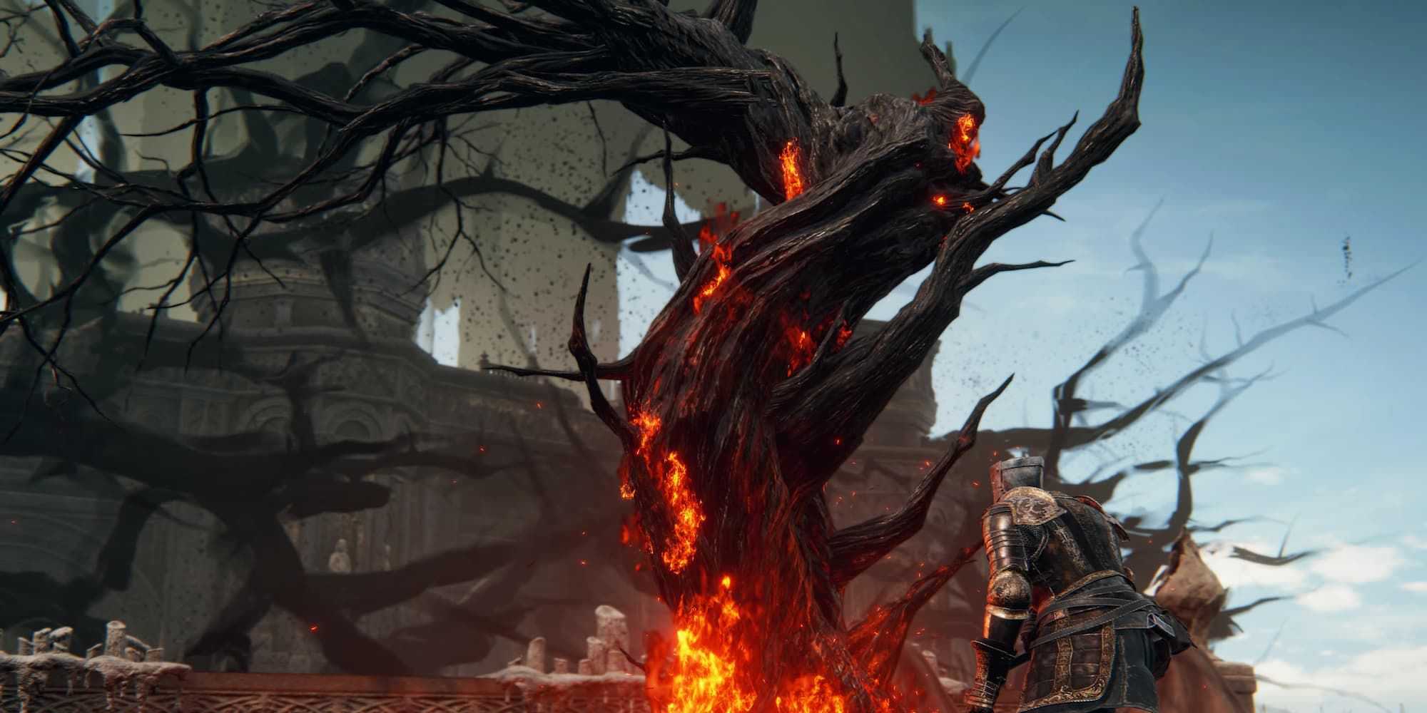 The Player Burning The Sealing Tree