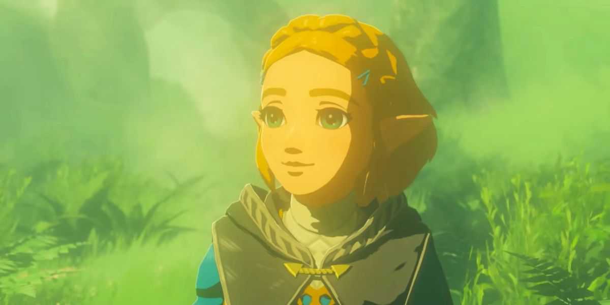 Princess Zelda in Korok Forest in Tears of the Kingdom