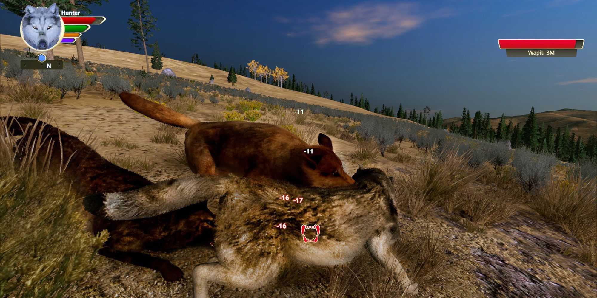 Two wolves attacking in WolfQuest