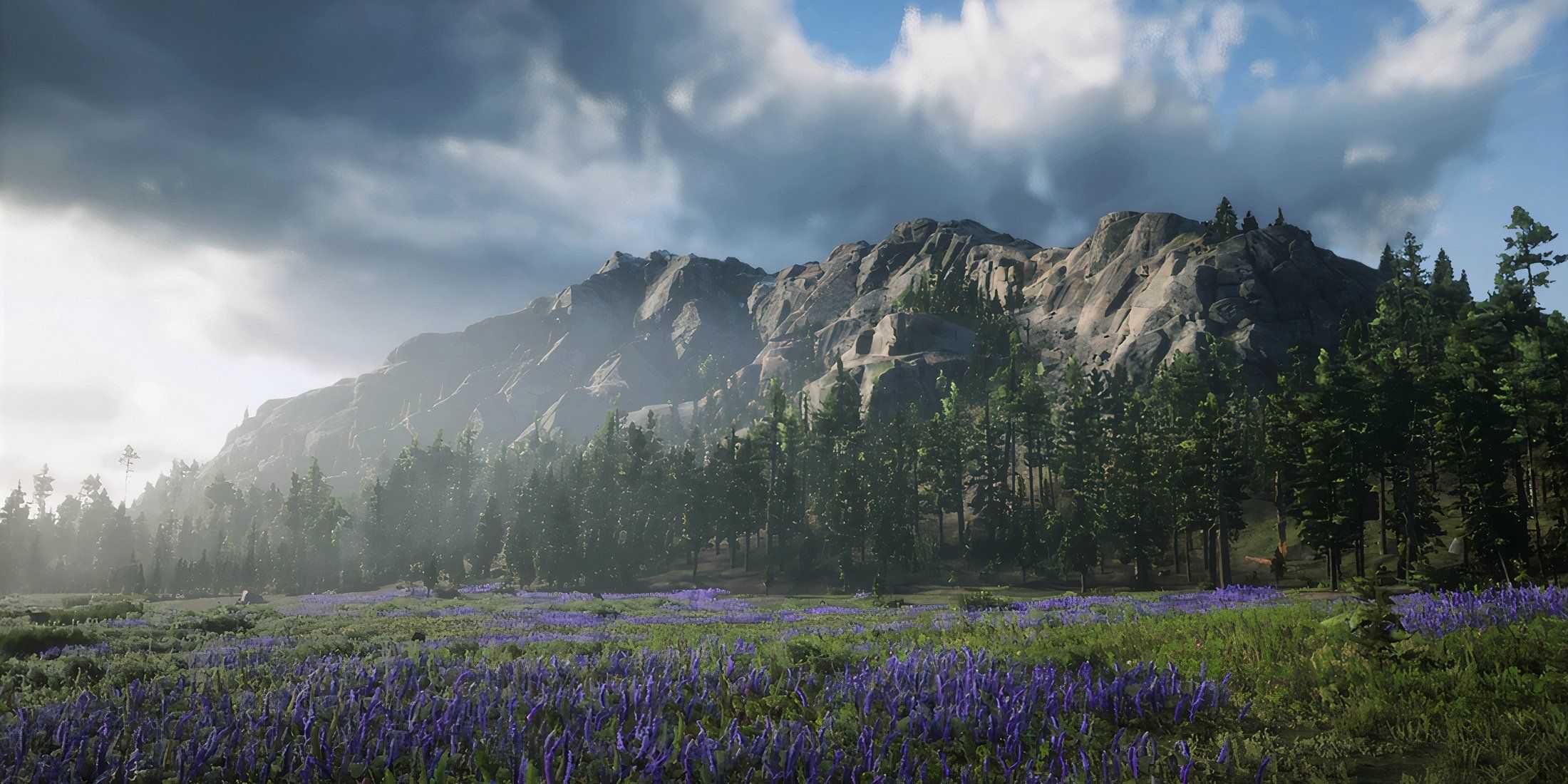 Red Dead Redemption 2 mountains