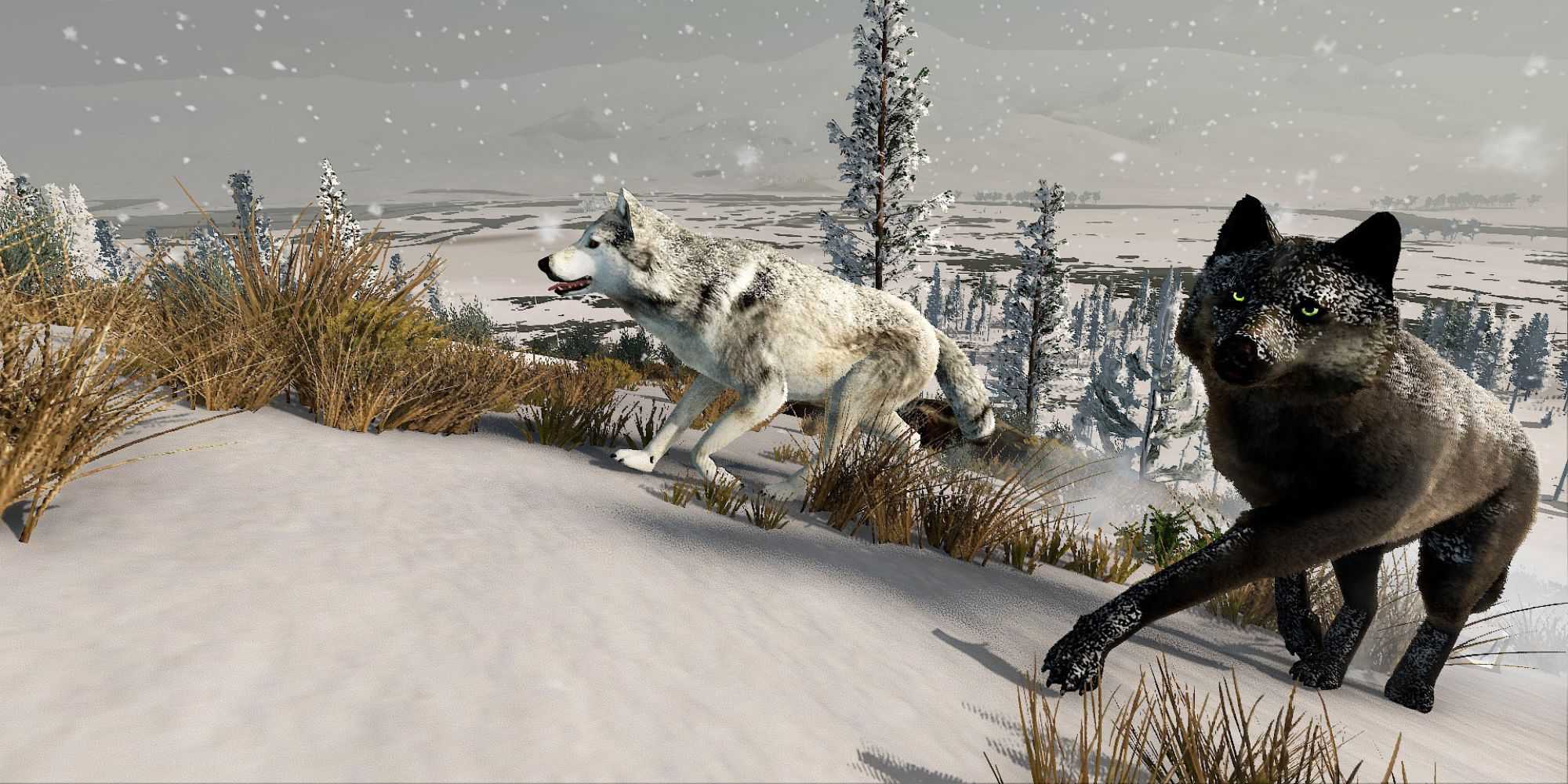 Two wolves in the snow in WolfQuest