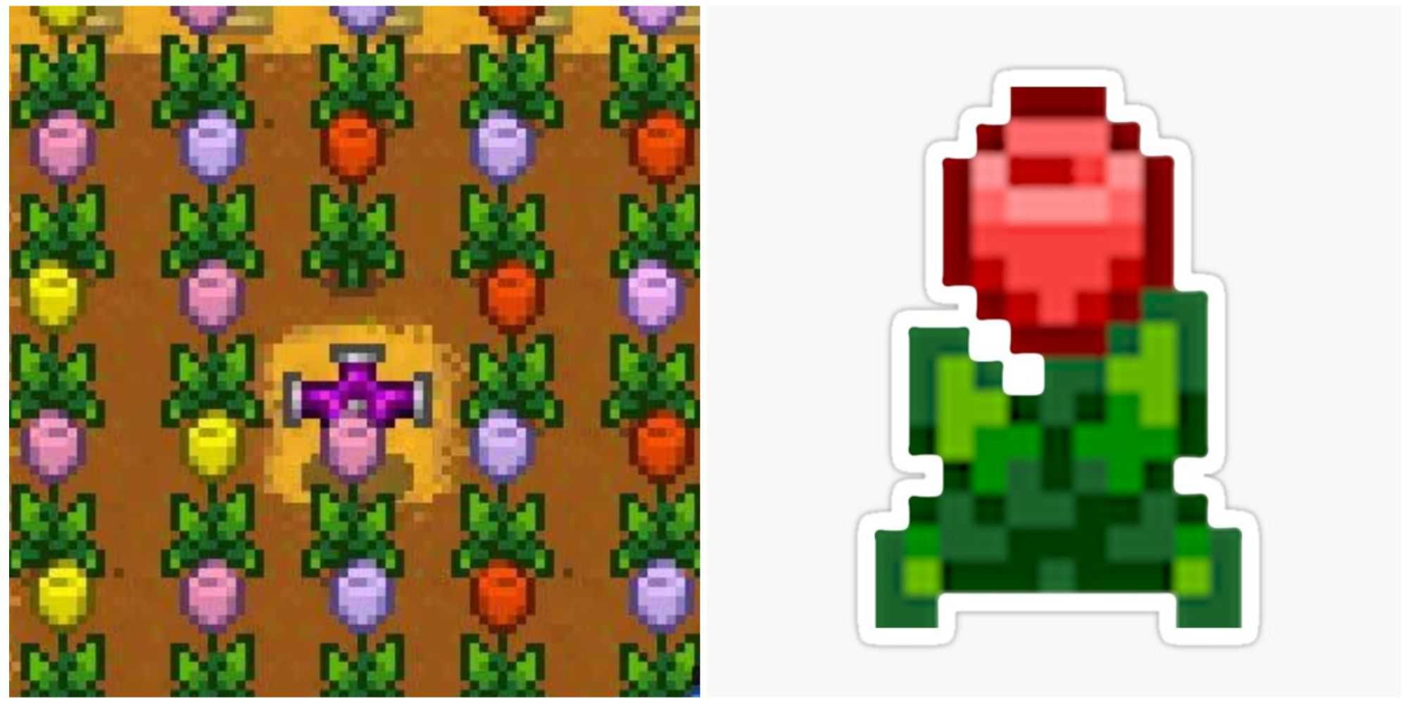 tulips in stardew valley