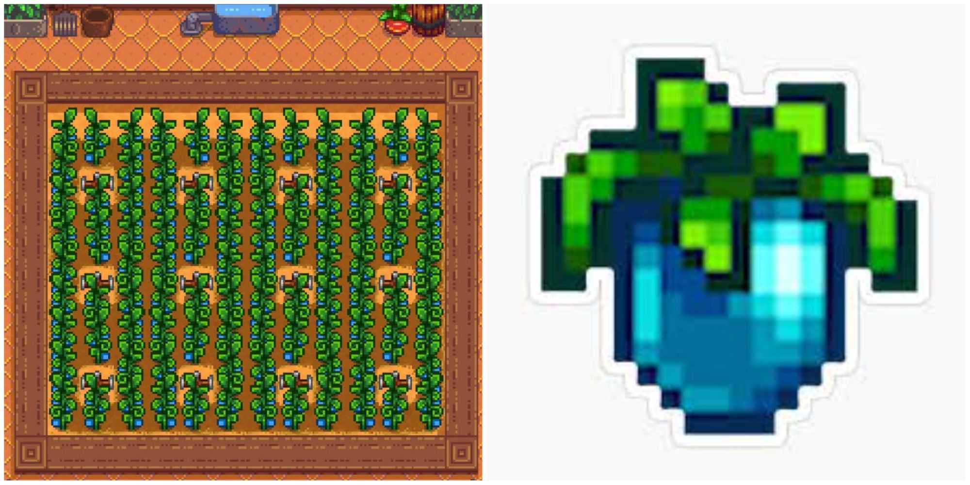 ancient fruit in stardew valley