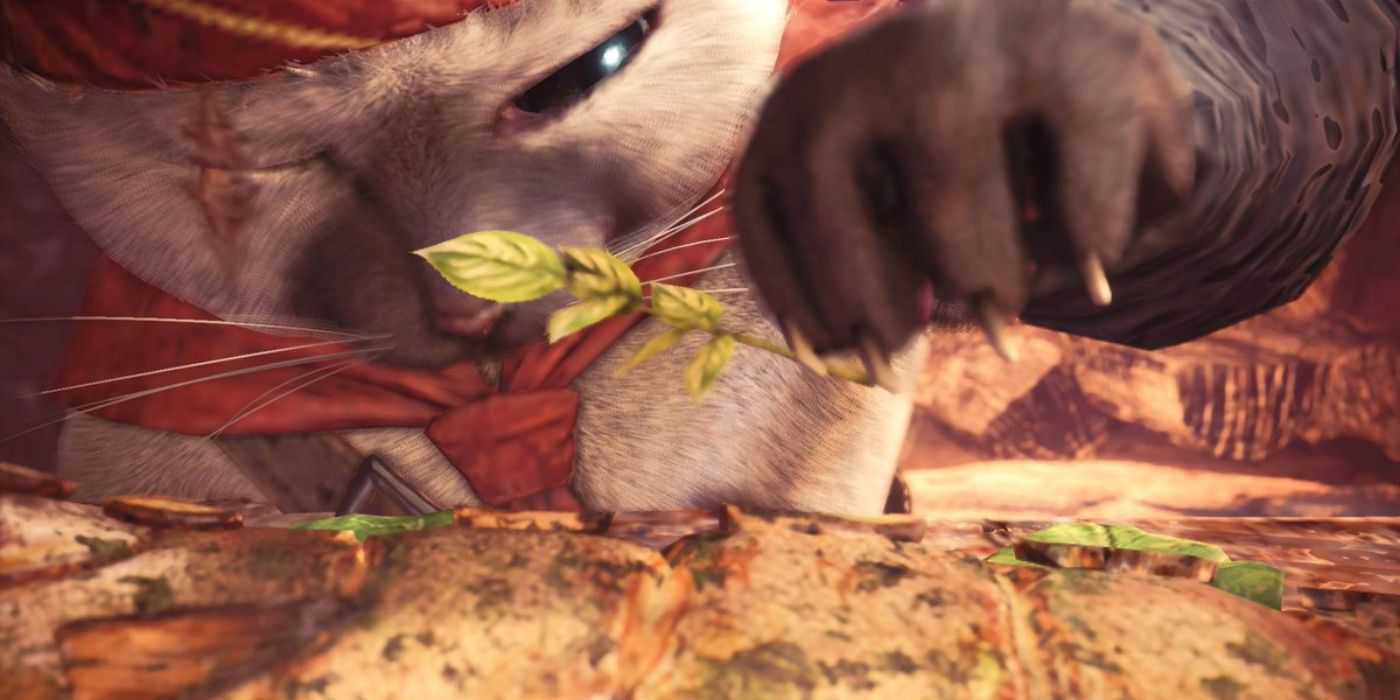 Palico With An Herb