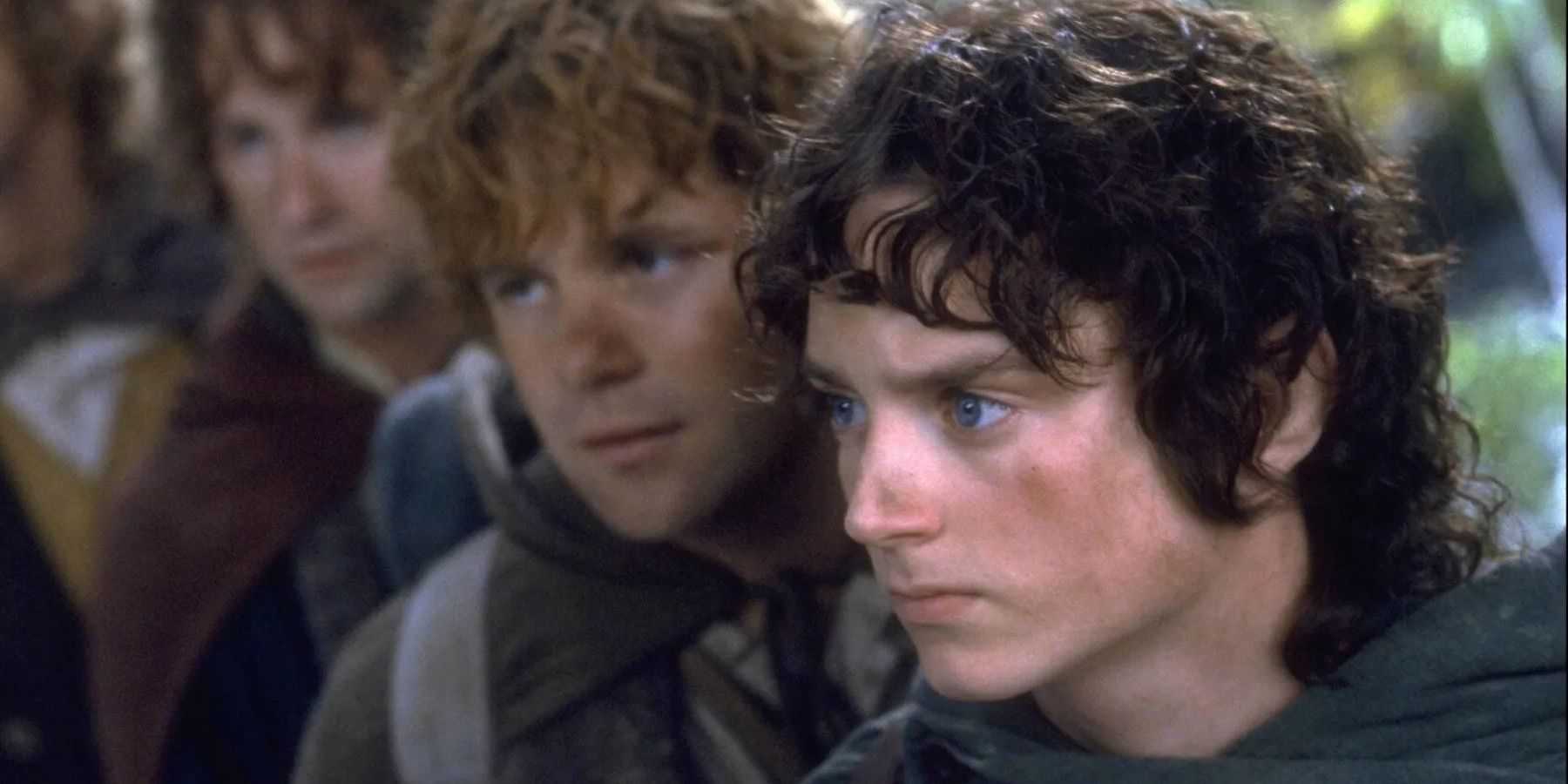 Frodo está com Sam, Merry e Pippin