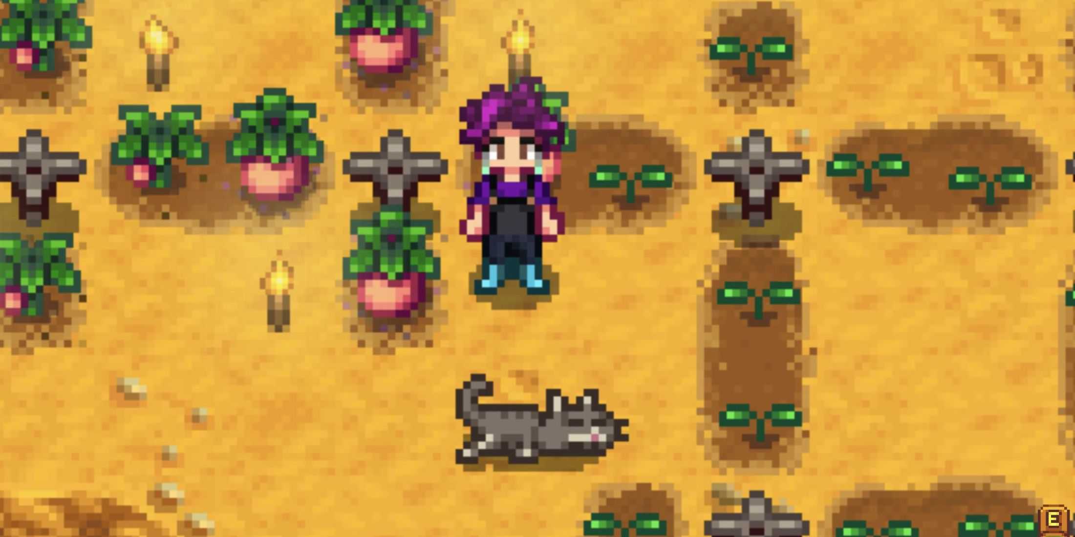 Stardew Valley cat sleeping