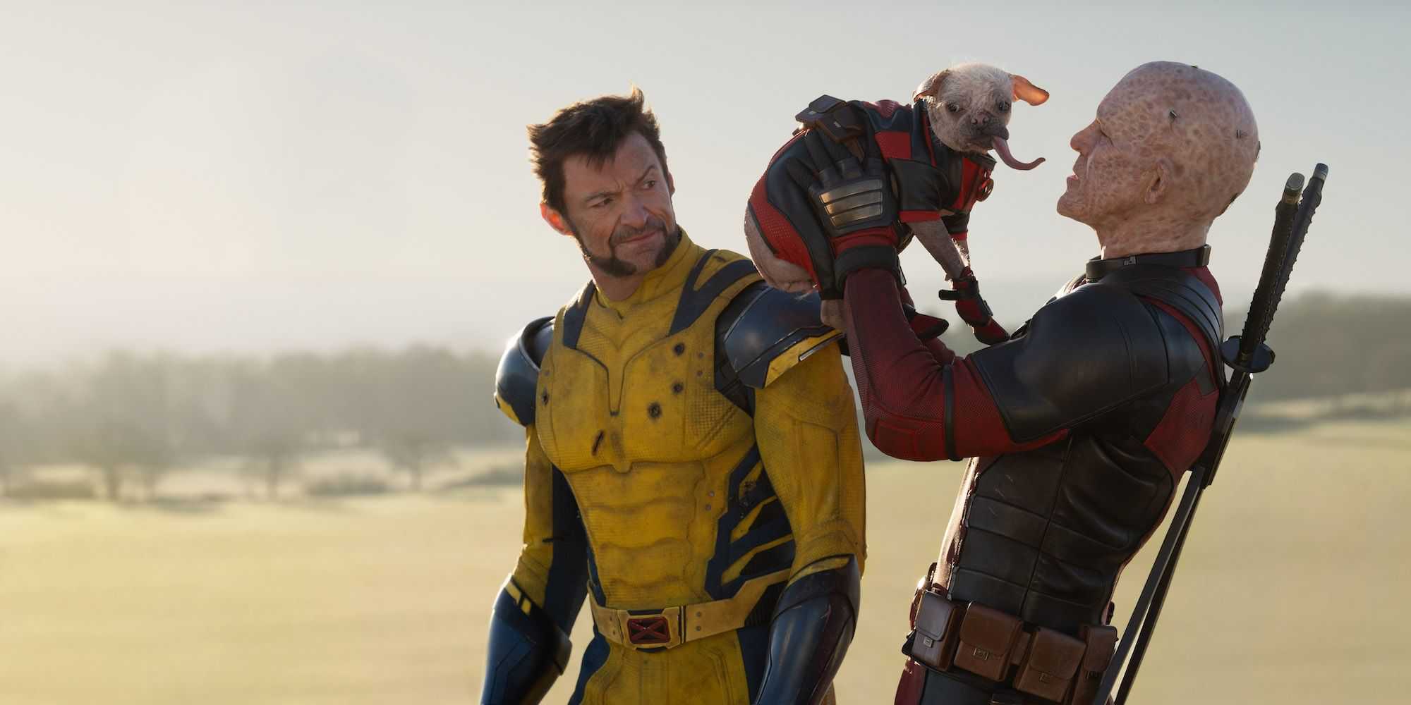 Deadpool & Wolverine wade logan and dogpool Cropped