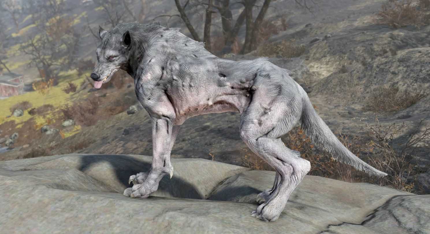 Fallout 76 Besta de Beckley Cryptid