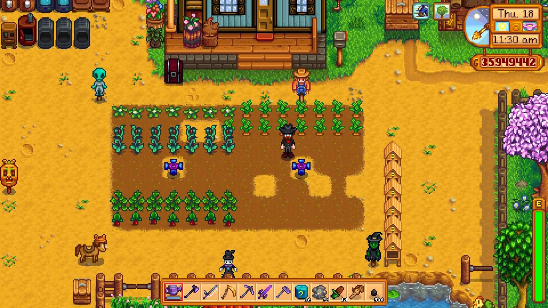 Stardew Valley Carrot Field