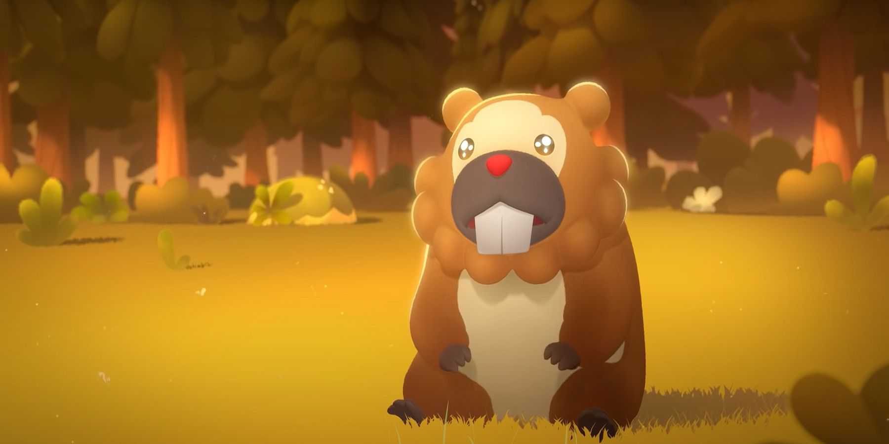 Bidoof's Big Stand Pokemon Short Film