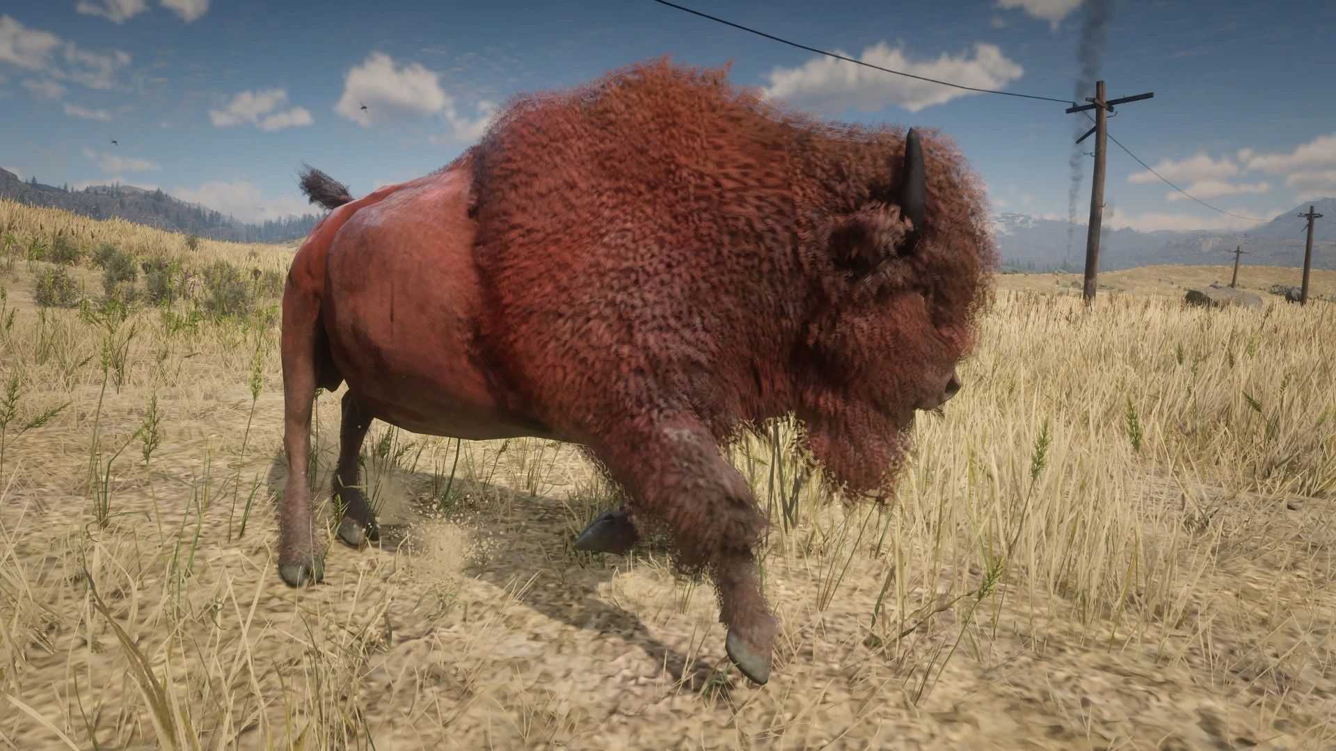 red dead bison mod