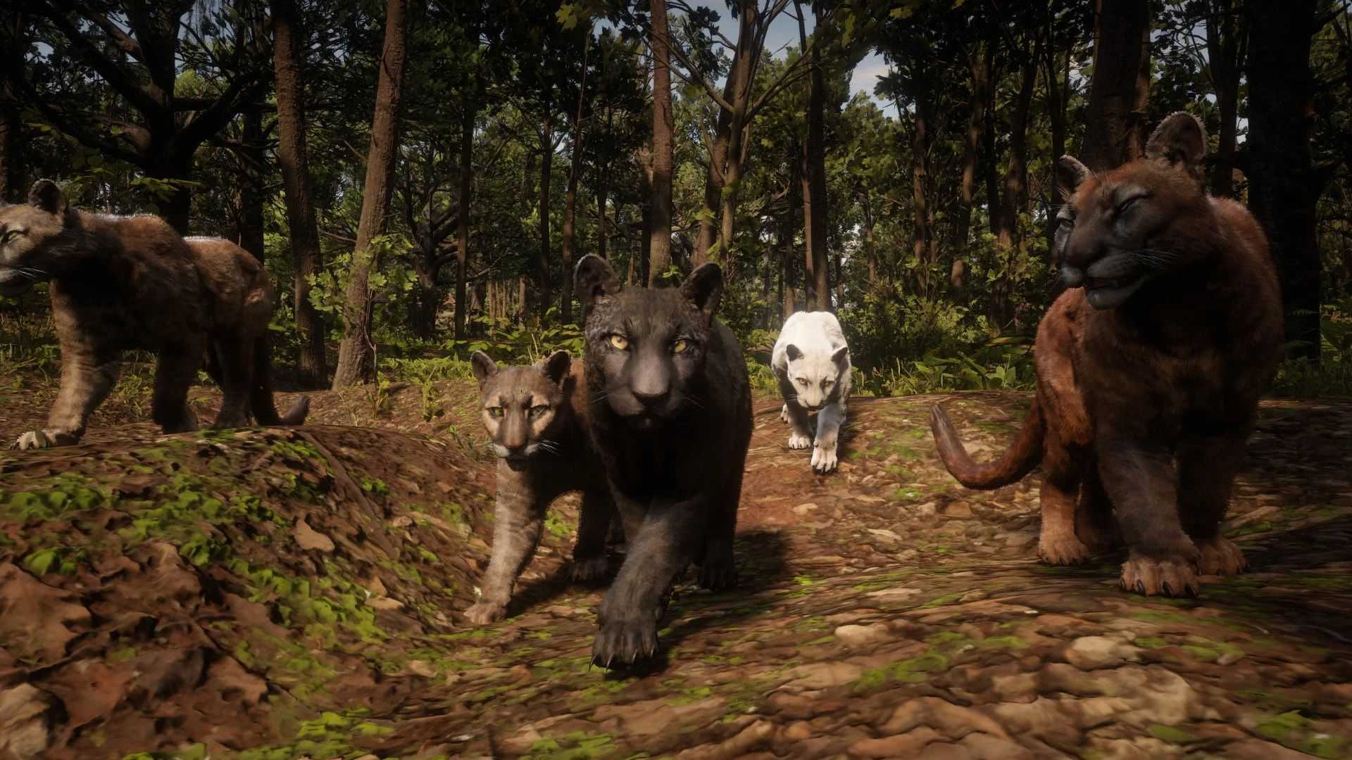 red dead panther mod