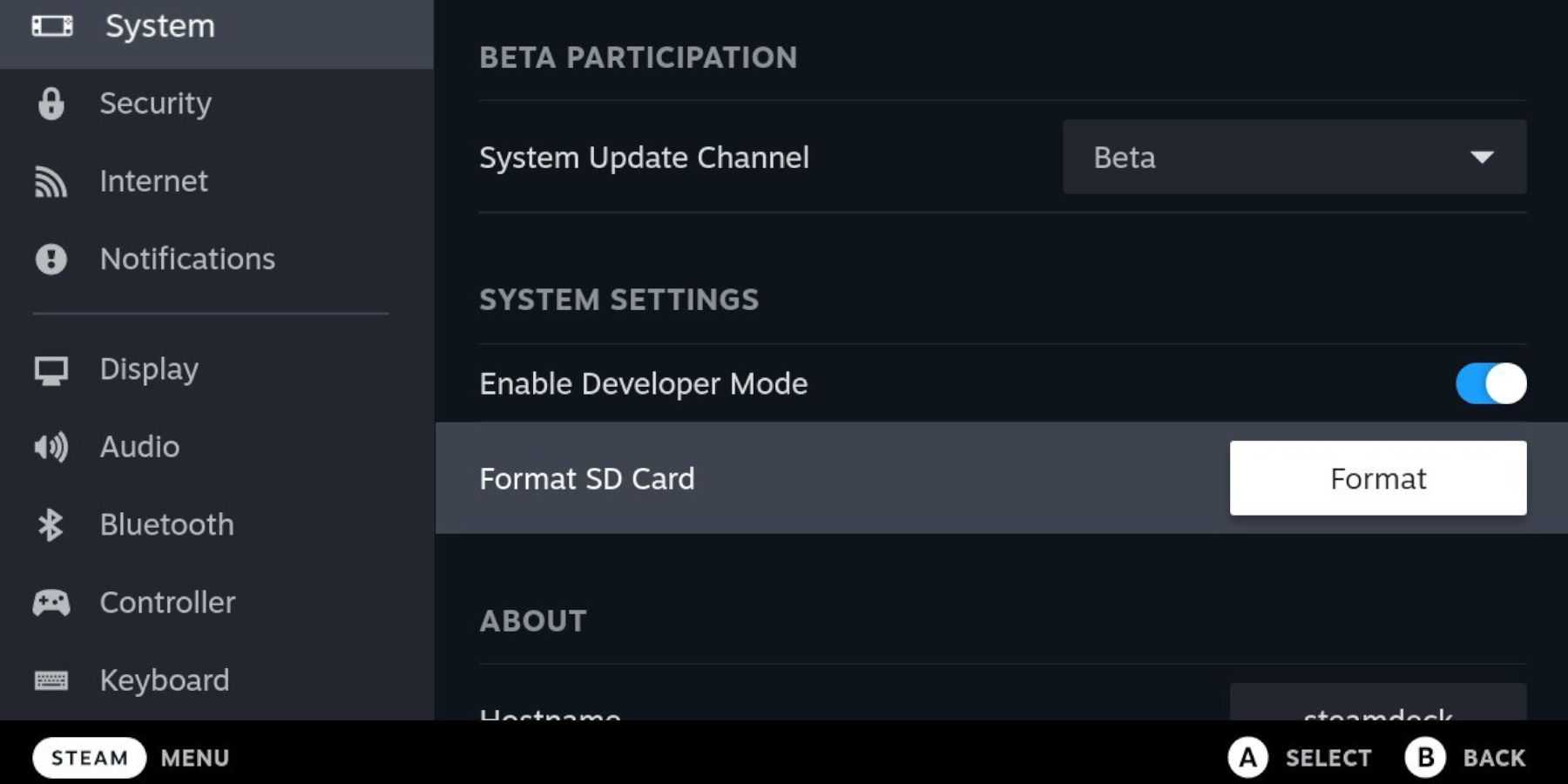 Formato Steam Deck micro SD