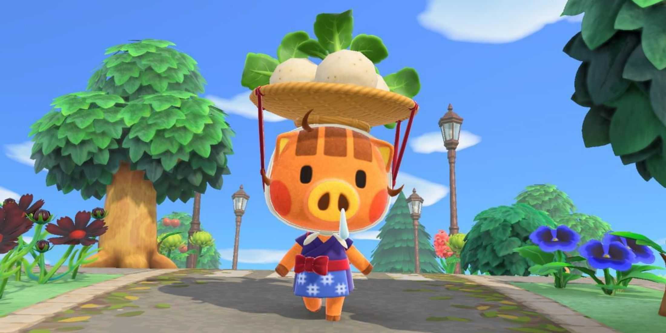 Animal Crossing Daisy Mae