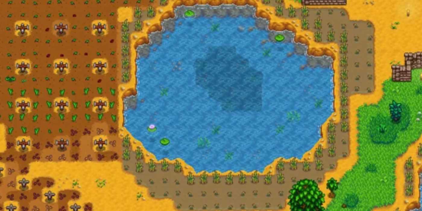 A screenshot of rice growing in Stardew Valley.